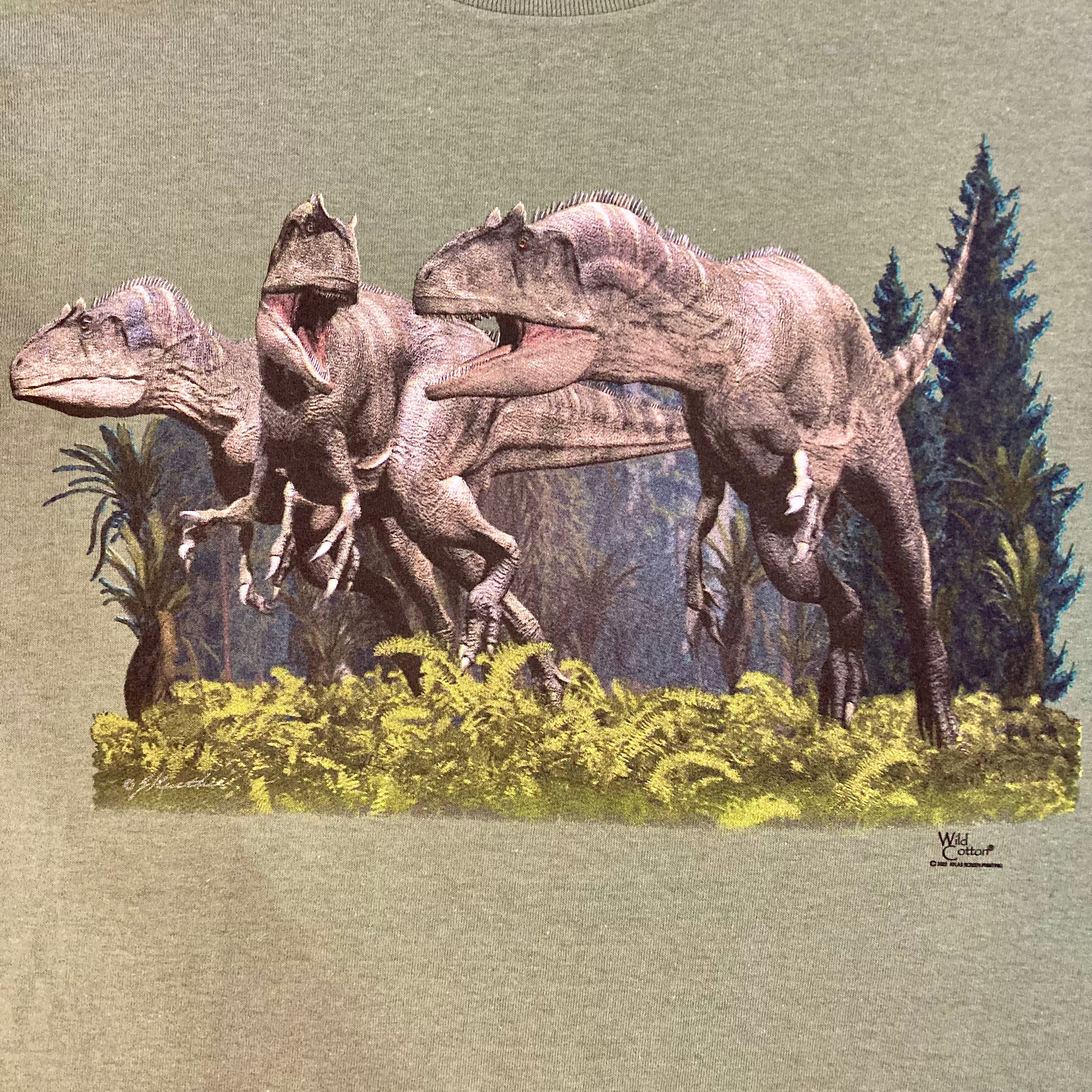 Allosaurus Dinosaur T-Shirt for Kids - Cool Prehistoric Graphic Tee for Boys & Girls - Perfect for School, Playdates & Dinosaur Themed Parties