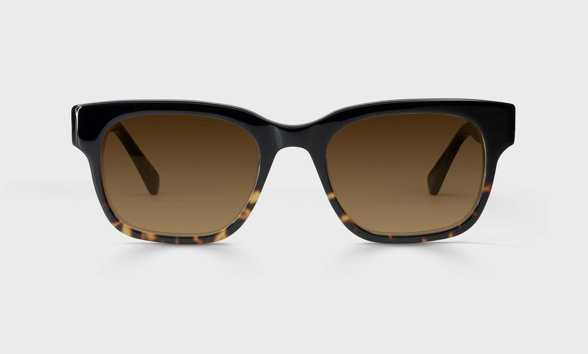 Polarized Brown