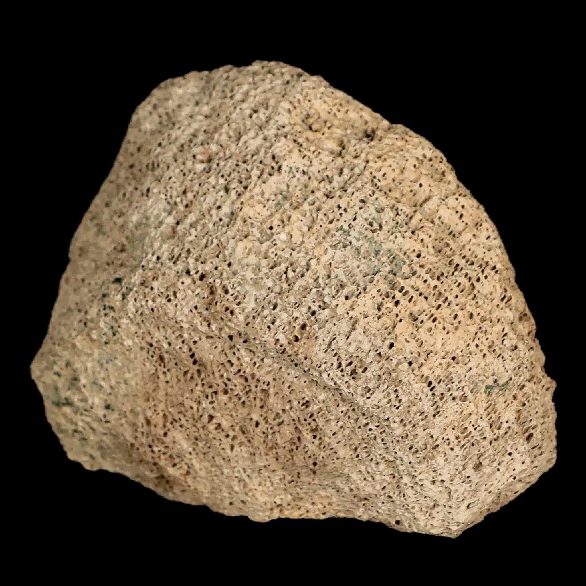 2.8
