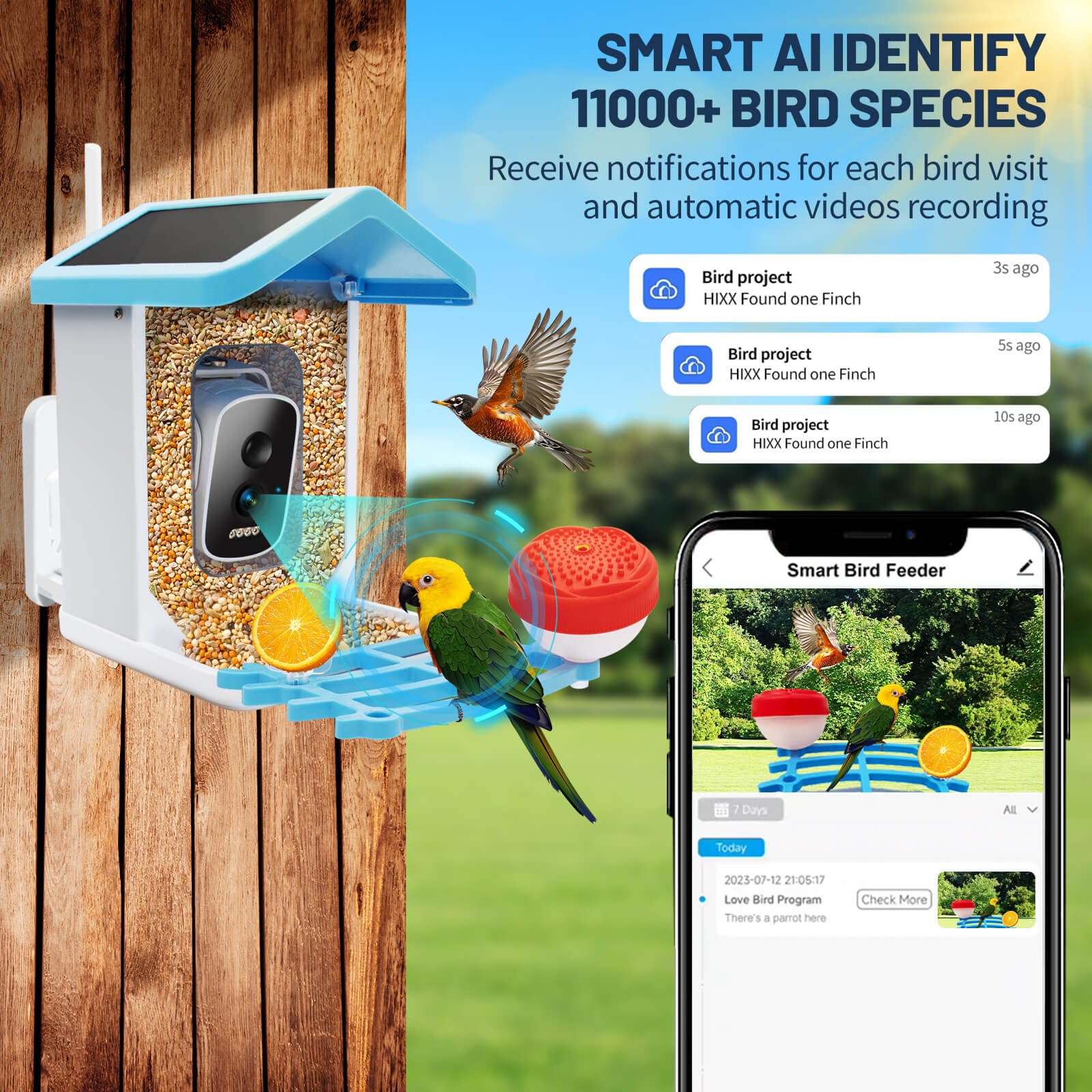 Smart Bird Feeder with Camera - 4K HD AI Bird Identification, Solar Powered, Auto Capture & Motion Detection - Perfect Gift for Bird Lovers, Grandma & Mom - Ideal for Backyard Birdwatching & Nature Enthusiasts