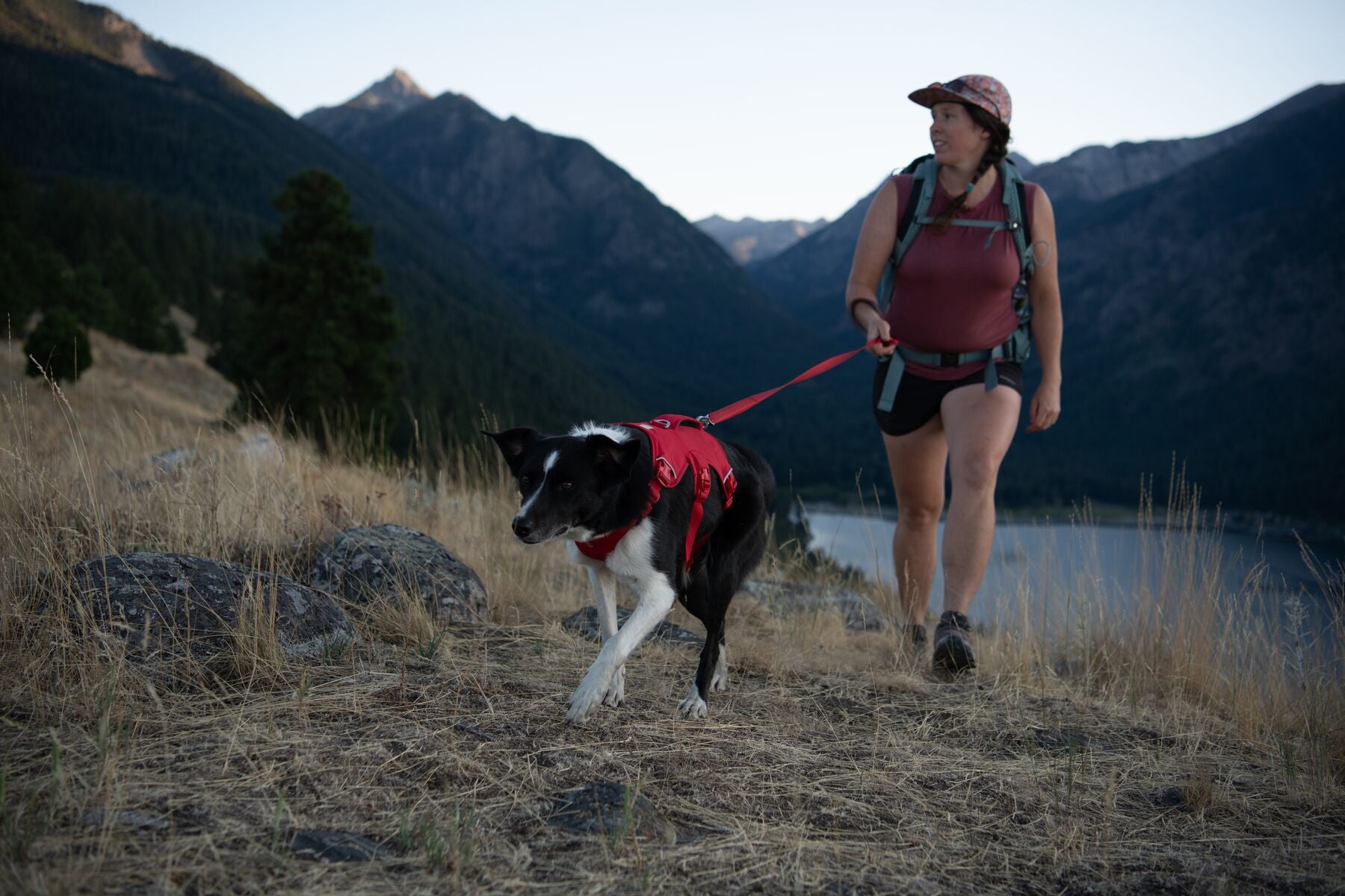 Ruffwear® Web Master™ Multi-Purpose Harness with Handle & Anti-Pull System - River Rock Green - Perfect for Hiking, Running & Outdoor Adventures with Your Dog