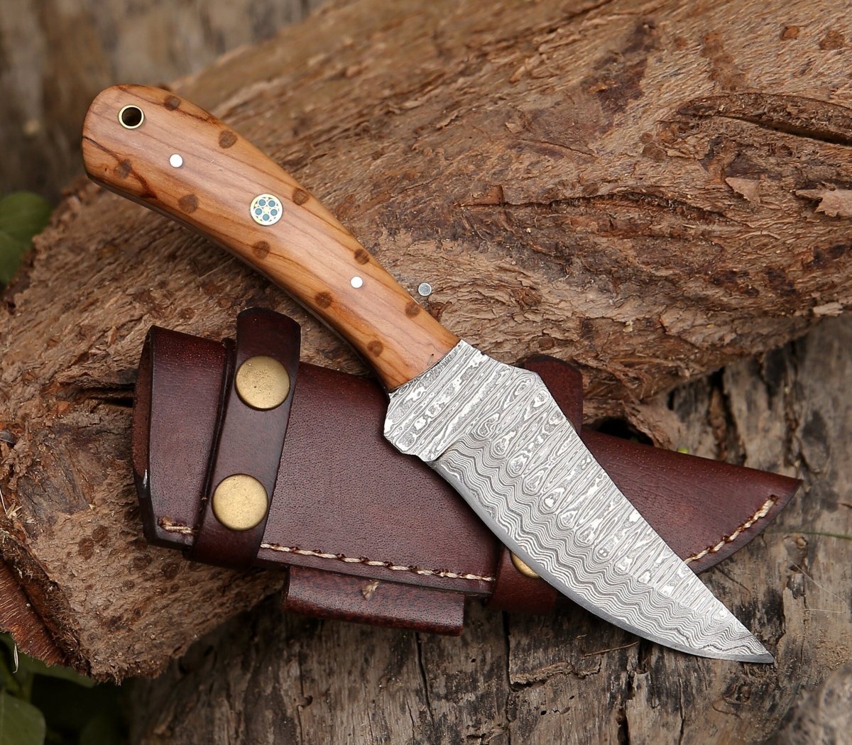Premium Spectral Field Dressing Knife with Olive Wood Handle - Hunting, Camping & Outdoor Survival Tool for Game Processing and Bushcraft