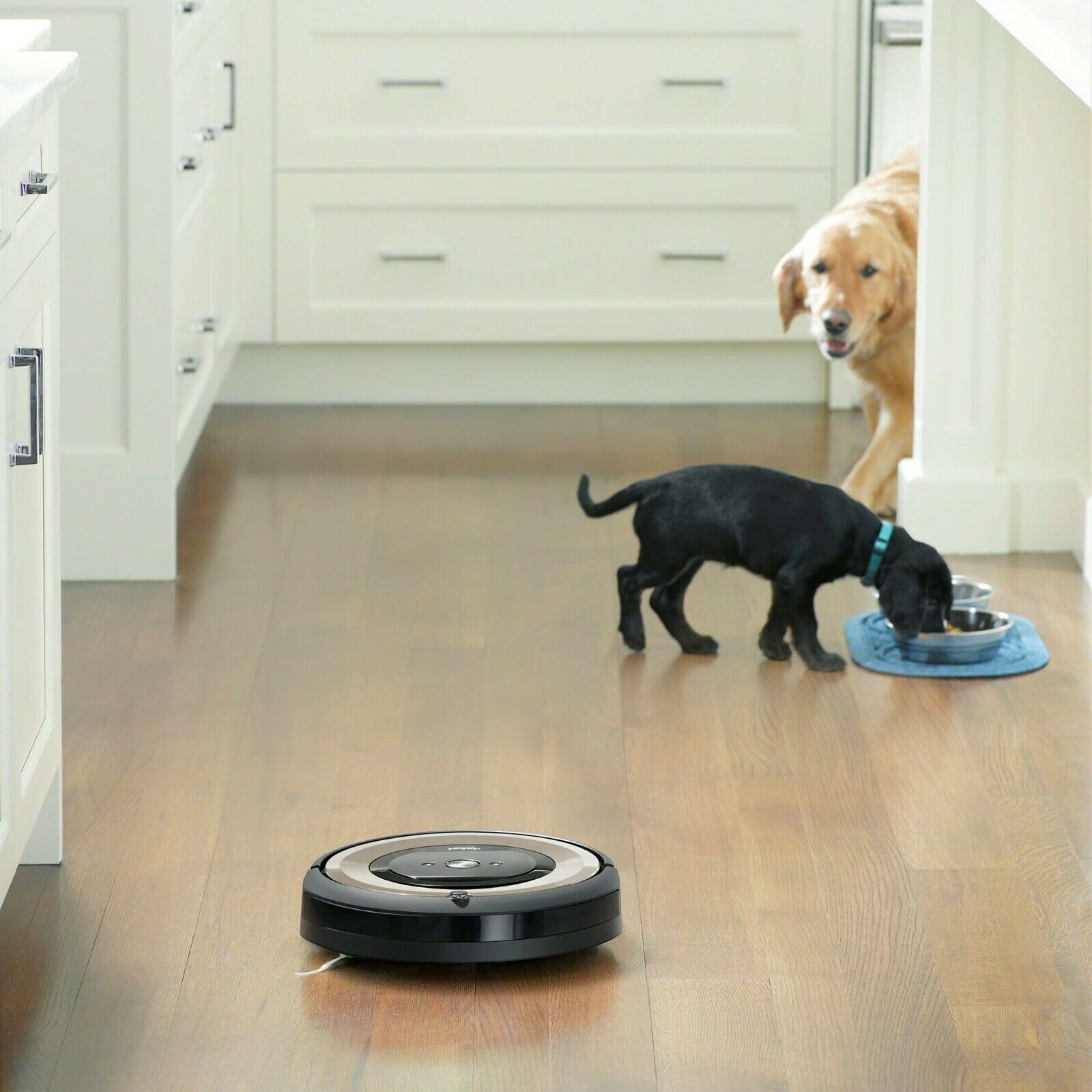 iRobot Roomba E6 (6199) Wi-Fi Connected Robot Vacuum - Works with Alexa, Self-Charging, Ideal for Pet Hair, Carpets & Hard Floors (Renewed) | Perfect for Homes with Pets, Daily Cleaning & Smart Home Integration