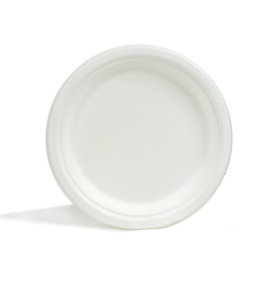 Eco-Friendly 100% Compostable Plant-Based Bagasse Plates - 9 Inch, 125 Count - Perfect for Parties, Picnics & Sustainable Dining