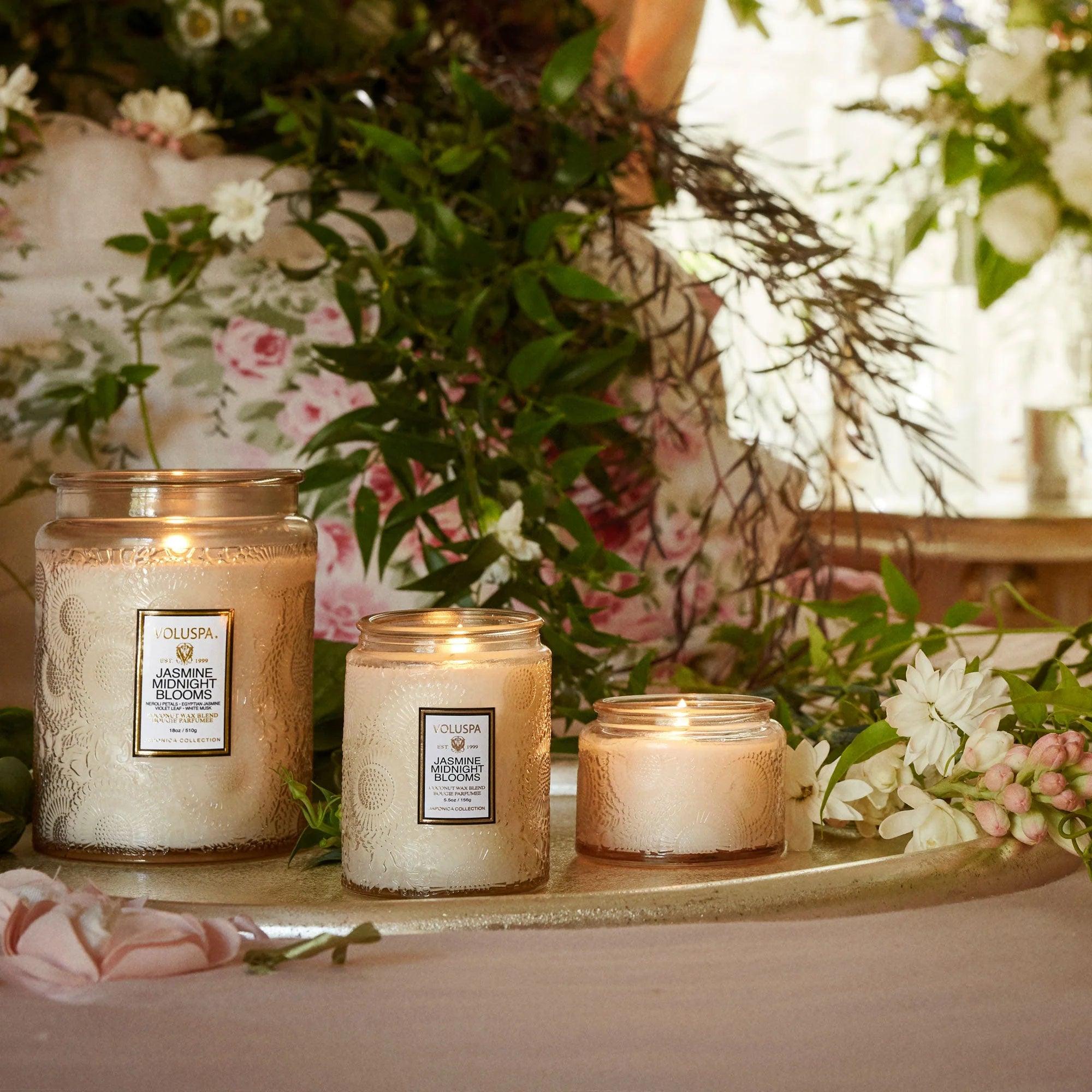 Premium Jasmine Midnight Blooms Petite Jar - Fragrant Dried Jasmine Flowers for Tea, Aromatherapy & Home Decor - Perfect for Relaxation, Gifts & Spa Nights