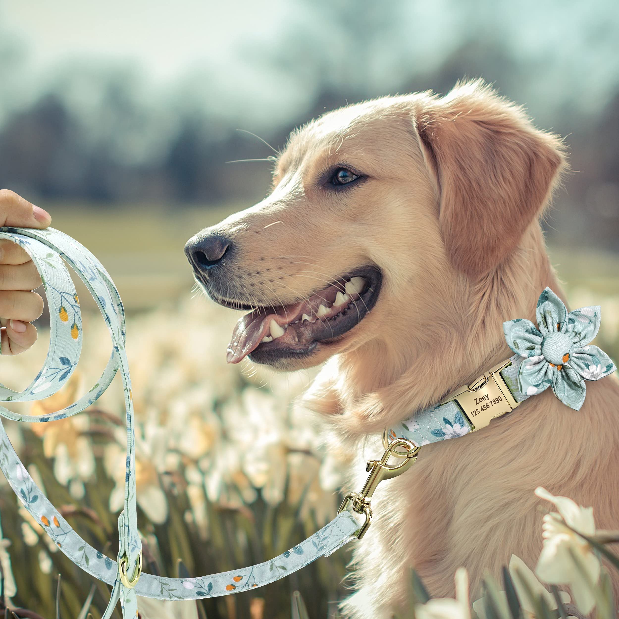 Beirui Custom Floral Dog Collar and Leash Set for Small Female Dogs - Personalized Engraved Pet Collar with Gold Buckle (Gardenia Pattern, Medium Size) - Perfect for Weddings, Flower Girl Outfits & Special Occasions