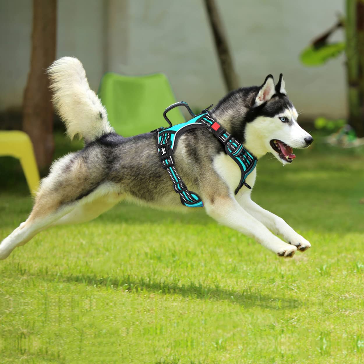PoyPet No Pull Dog Harness - Front Clip Reflective Vest with Soft Padded Handle & 3 Leash Attachments for Small Medium Large Dogs (Mint Blue, Medium) - Perfect for Walking, Training & Nighttime Safety