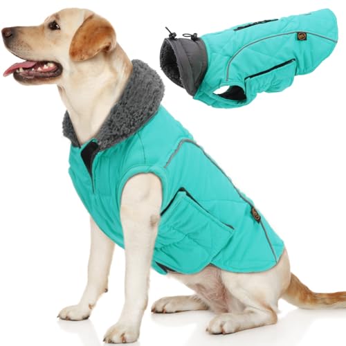 NewTurquoise