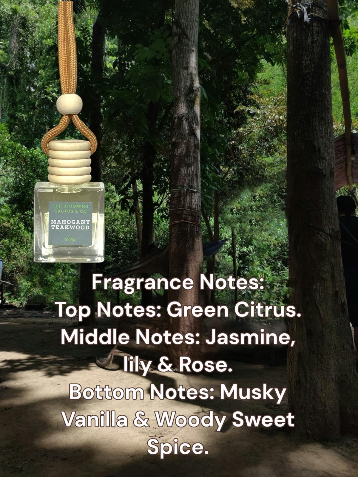 Blooming Cactus & Co. Car Diffuser with Refill - Mahogany Teakwood Scented Air Freshener | Long-Lasting, Phthalate-Free Fragrance | Perfect for Cars, Offices & Small Spaces | Portable Aromatherapy On-The-Go