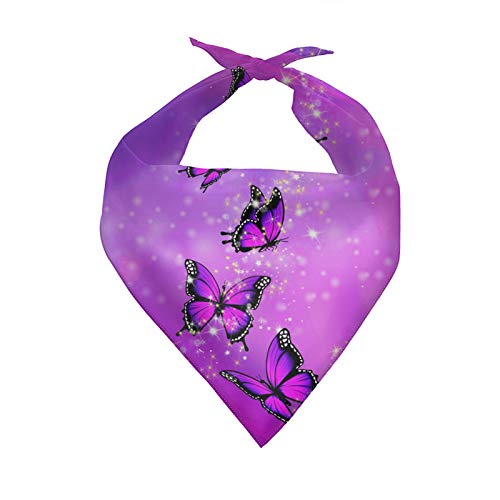 butterfly-purple