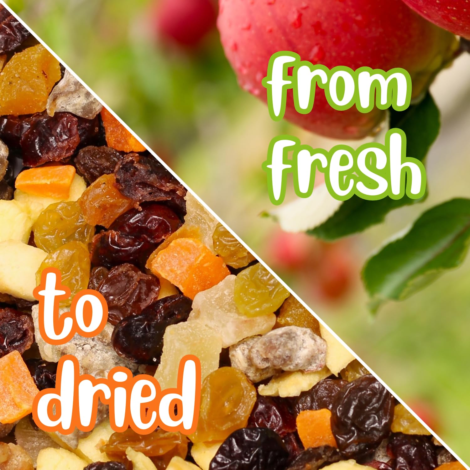 Dried Mixed Fruit Dices Medley - 40oz Jumbo Container | Healthy Vegan Snacks for Adults, Kids & Pets | Gluten-Free, Kosher Trail Mix with Berries & Dry Fruits | Perfect for Hiking, School Lunches & Office Snacks