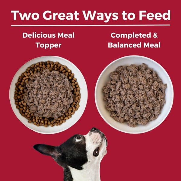 KOHA LID Beef Entrée Canned Dog Food - Grain-Free, High-Protein Wet Food for Dogs - Perfect for Picky Eaters & Sensitive Stomachs - Great for Mealtime, Training Treats & Travel Feeding