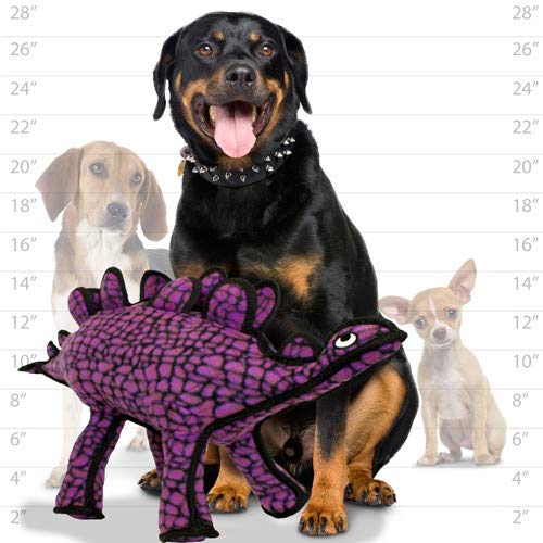 Tuffy Durable Soft Dog Toy - Stegosaurus Dinosaur with Squeakers, Multi-Layer Tough Design for Aggressive Chewers - Interactive Play (Tug, Fetch & Toss) - Machine Washable & Floats - 2 Pack for Large & Small Dogs - Perfect for Indoor/Outdoor Playtime & Training Sessions