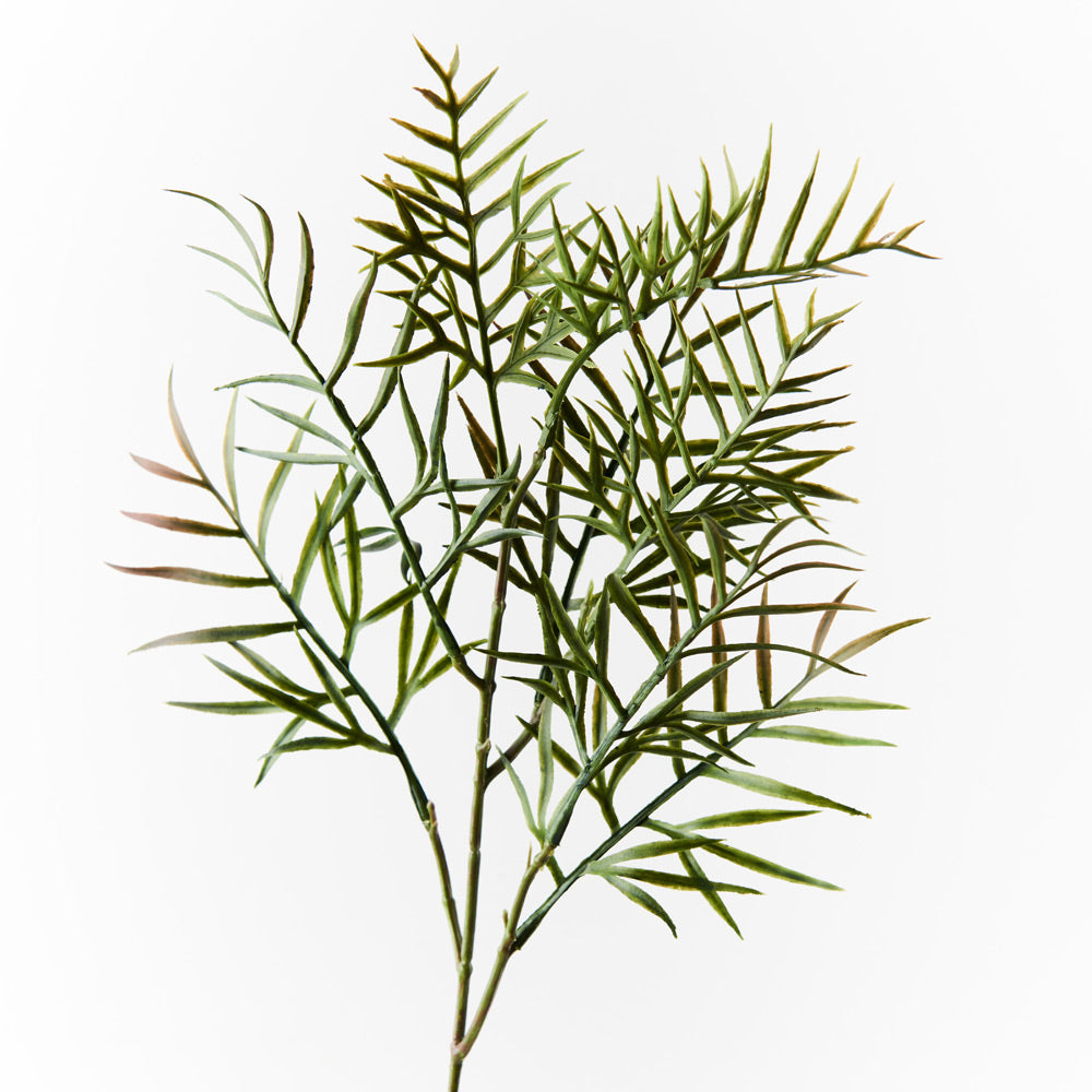 Grevillea Leaf Spray - Natural Plant Extract for Skin & Hair Care | Perfect for Aromatherapy, Massage & Relaxation
