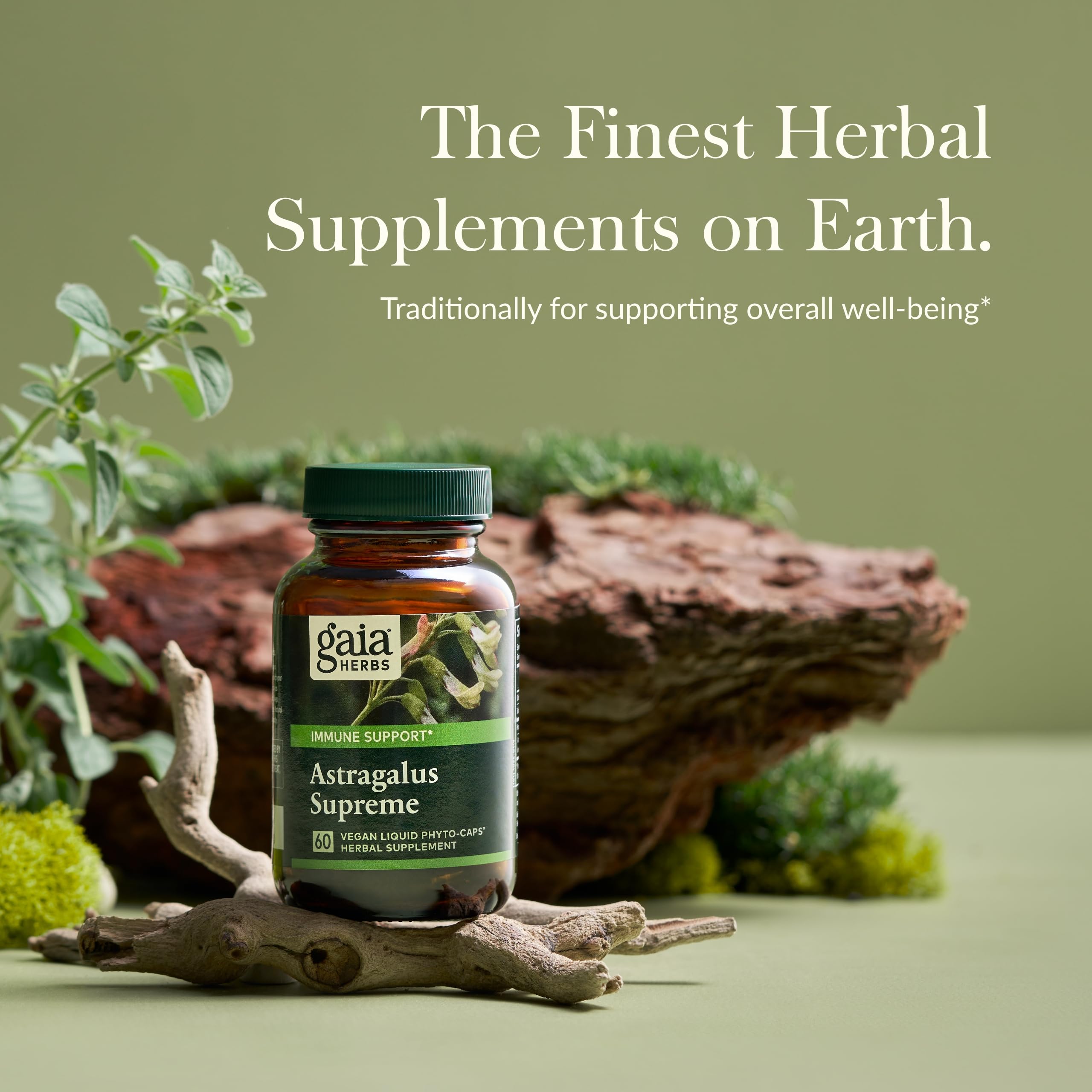 Gaia Herbs Astragalus Supreme - Immune & Antioxidant Support Supplement with Astragalus Root, Schisandra Berry, Ligustrum - 60 Vegan Liquid Phyto-Capsules (15-Day Supply) - Boost Energy & Vitality for Active Lifestyles