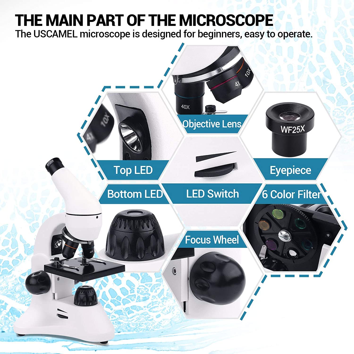USCAMEL 100X-2000X Biological Compound Monocular Microscope Kit with LED Illumination, Slides & Phone Adapter - Professional & Beginner Microscope for Adults, Kids, Students - Perfect for School Labs, Home Education & Scientific Exploration