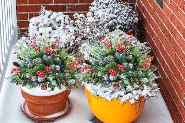 Topsgain Christmas Planter with 60 LED Lights - 2 Pack Indoor/Outdoor Holiday Urn Filler for Porch, Patio & Mantel Decor (18-Inch Prelit Artificial Bushes, C-18IN)