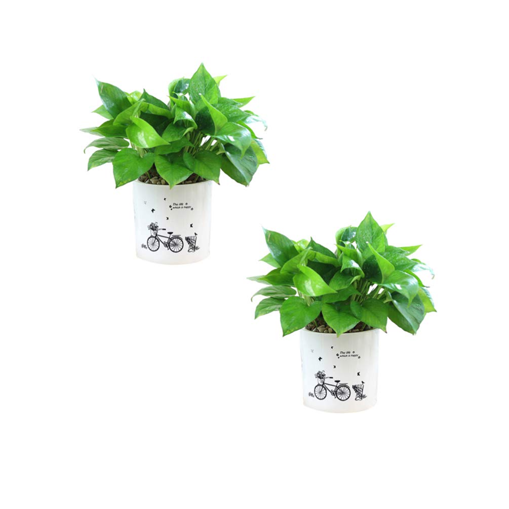 Happyyami 2 Pack Self Watering Planters - White Plastic Flower Pots for Succulents, Indoor & Outdoor Plants - Lazy Gardener Solution for Home, Office, Balcony Decor