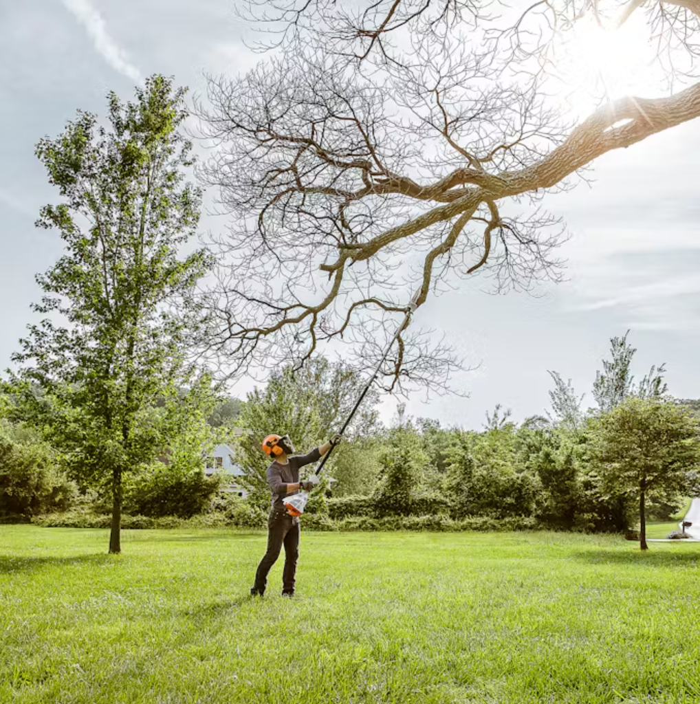 STIHL HT 56 C E Long Reach Pole Pruner with Easy2Start System - Lightweight Gas Powered Tree Trimmer for High Branches - Perfect for Landscaping, Yard Maintenance & Professional Arborist Work