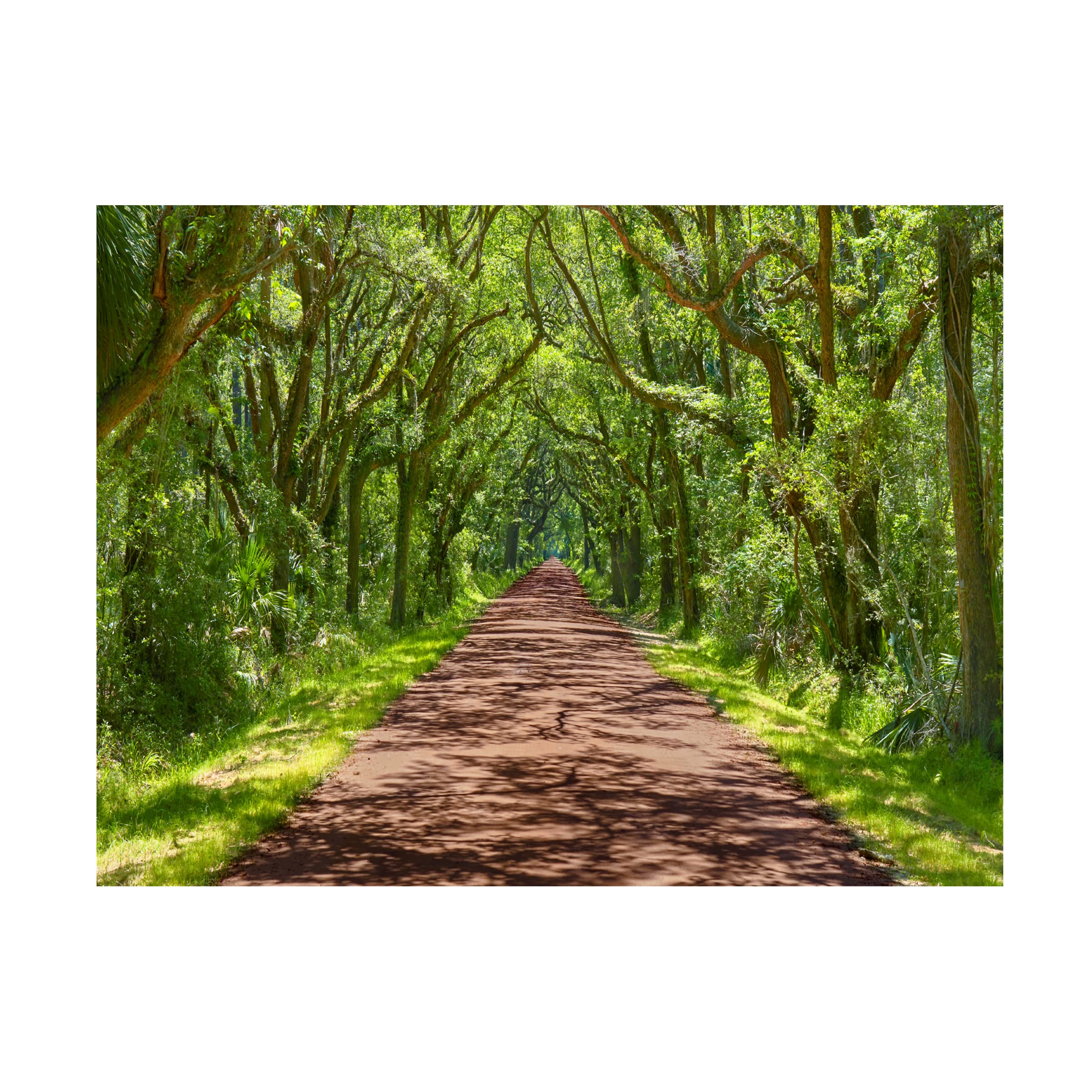 Trademark Fine Art 'Country Road Photo IV' Canvas Art Print by James McLoughlin - Rustic Landscape Wall Decor for Living Room, Bedroom & Office