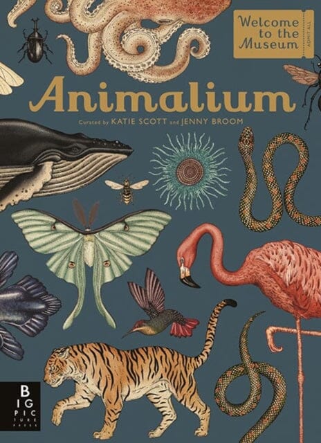 Animalium: The Illustrated Animal Encyclopedia by Jenny Broom – Perfect for Kids' Learning & Nature Exploration
