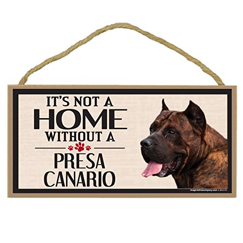 Presa Canario