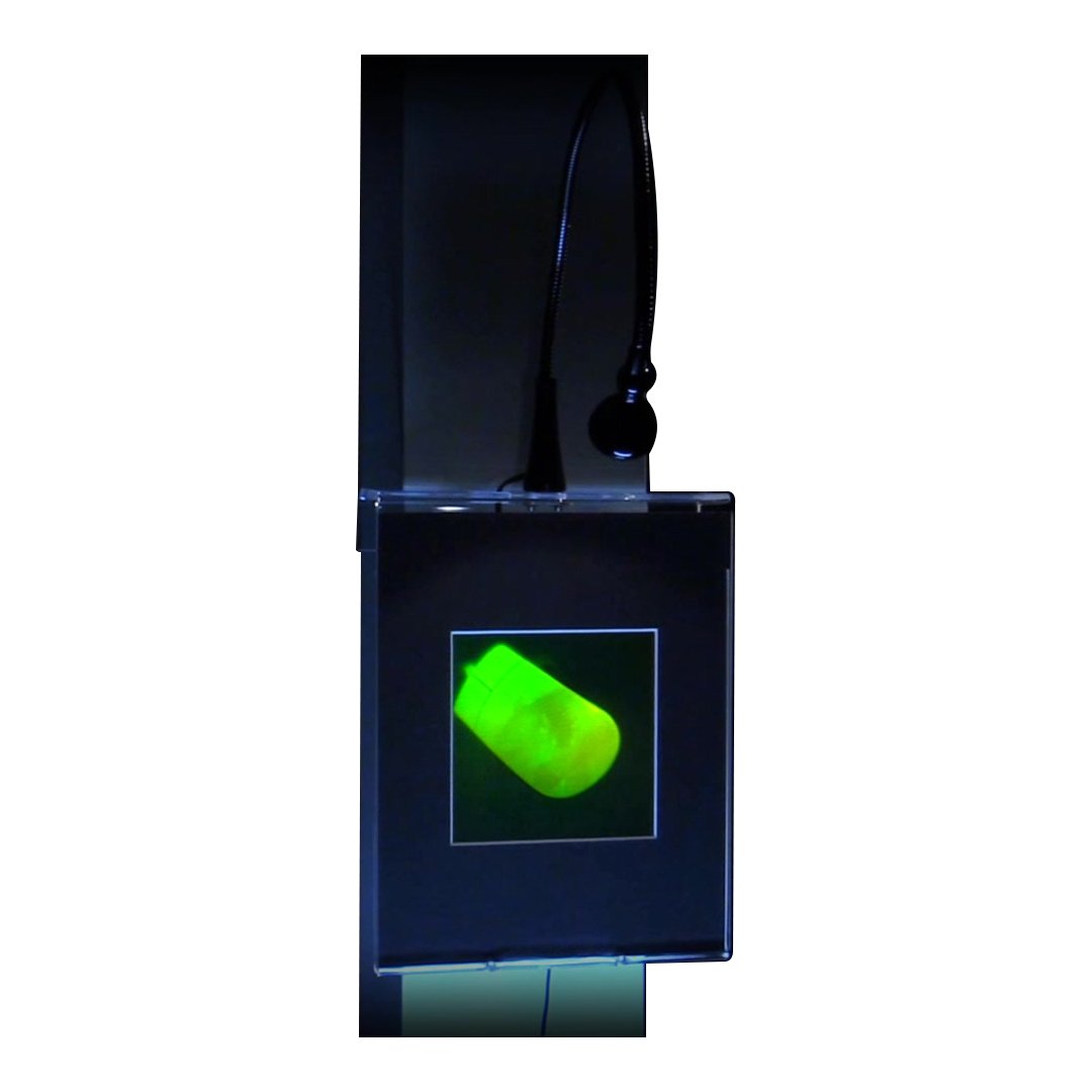 3D Holographic Mouse Multi-Channel Wall Art Display with LED Lights - Collectible Photopolymer Film for Home Decor, Office & Gaming Room Aesthetic Enhancement