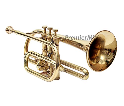 Professional Bb Cornet PCo-1 in Gold Finish - Perfect for Brass Band Performances, Jazz Ensembles & Solo Practice