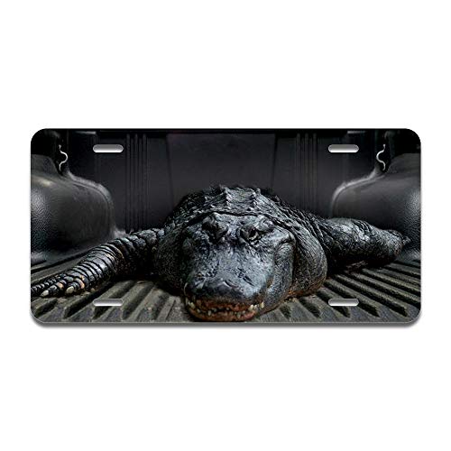 Dead Gator