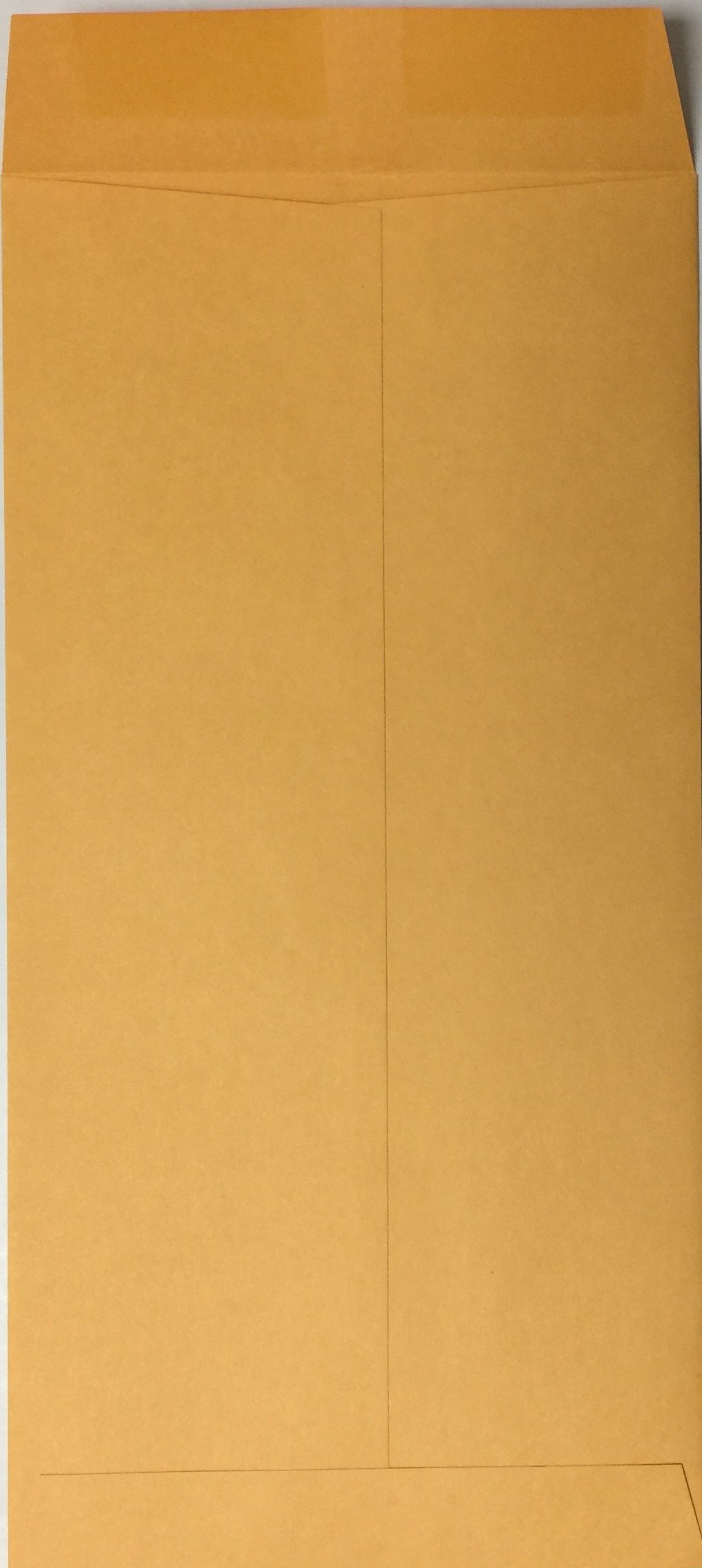 500 Moist & Seal License Plate Envelopes - Self-Adhesive Waterproof Mailing Sleeves for Vehicle Registration, Tax Stickers & DMV Documents - Perfect for Car Dealerships, Government Offices & Mail Centers