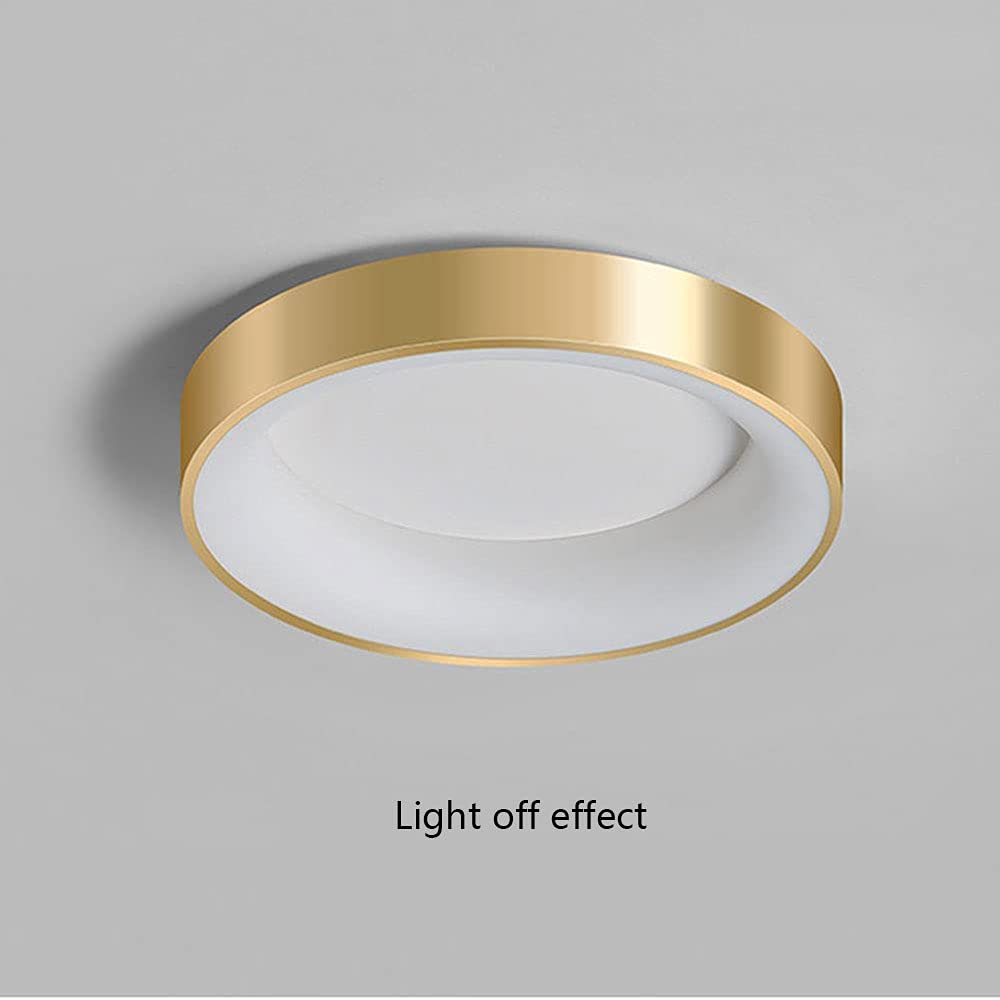 Nordic Luxury Dimmable LED Ceiling Light - Modern Round Flush Mount Fixture with Gold Finish - Energy Saving Flat Panel Lighting for Living Room, Bedroom & Kitchen - Perfect for Home Decor and Ambient Lighting