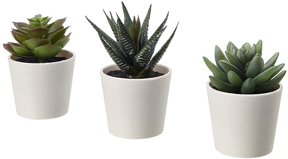 Chitra Artworks - Realistic Artificial Succulent Plants in Decorative Pots for Indoor & Outdoor Home Decor | Perfect for Office, Living Room, and Garden Decorations