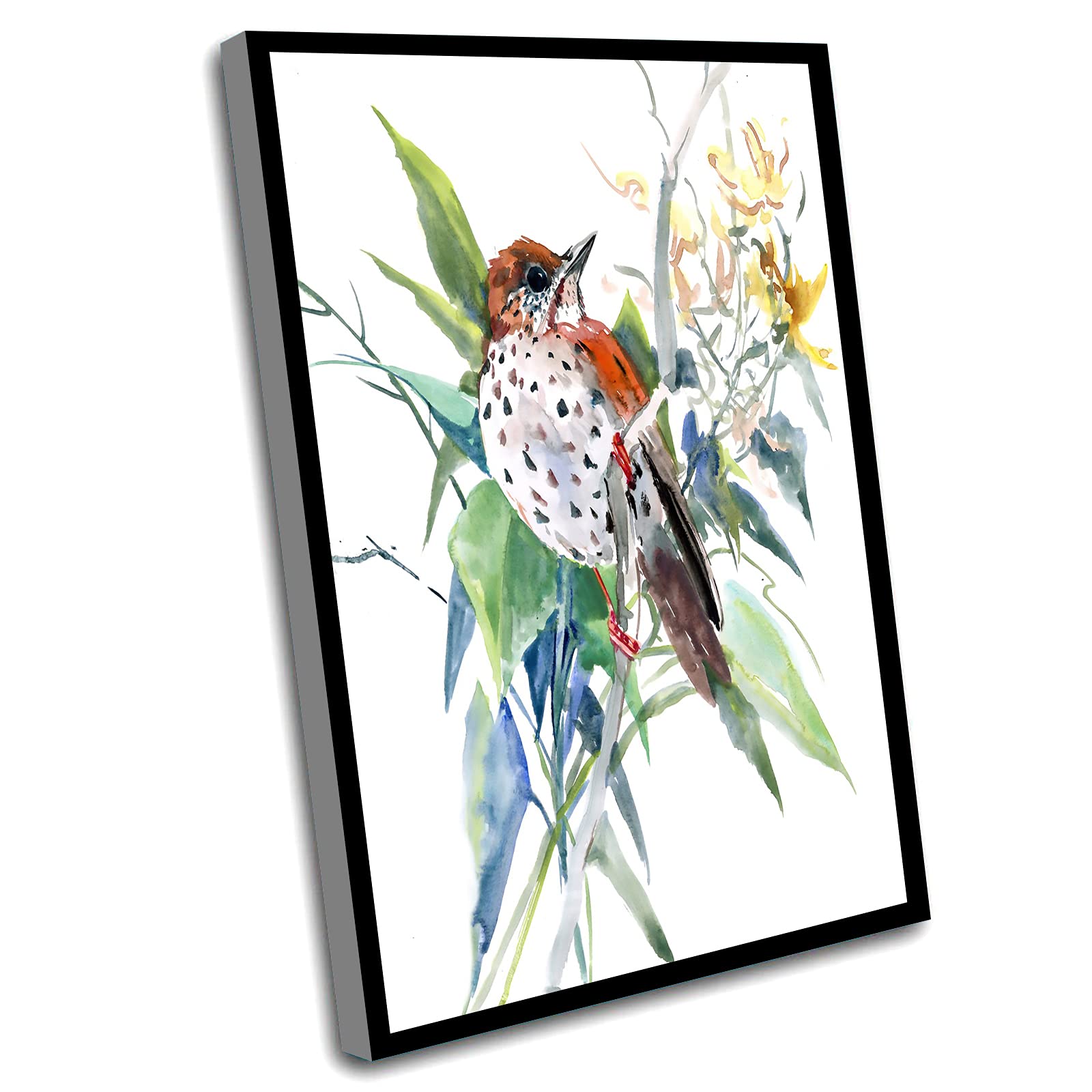 Farmhouse Canvas Wall Art - 16x24 Inch Framed Wood Thrush Bird Painting, Boho Nature Decor for Kitchen, Office & Living Room - Perfect for Rustic Home Decor & Gift Giving