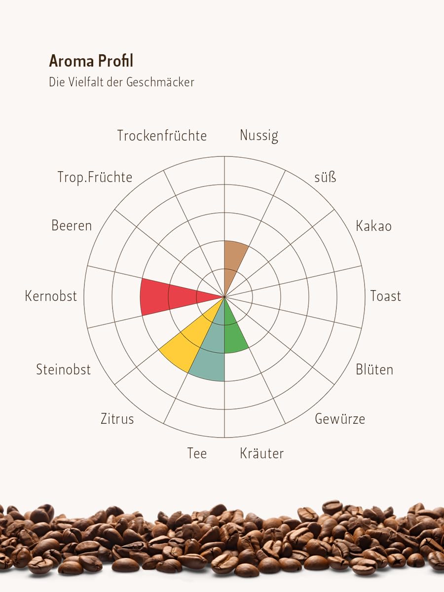 Berliner Kaffeerösterei - Mexico Maragogype Finca Liquidambar Coffee Beans (1000g / Ground), Light Roast Level, 100% Arabica, Floral/Fruity/Spicy Aroma Profile - Perfect for Home Brewing, Office Use & Gift Giving
