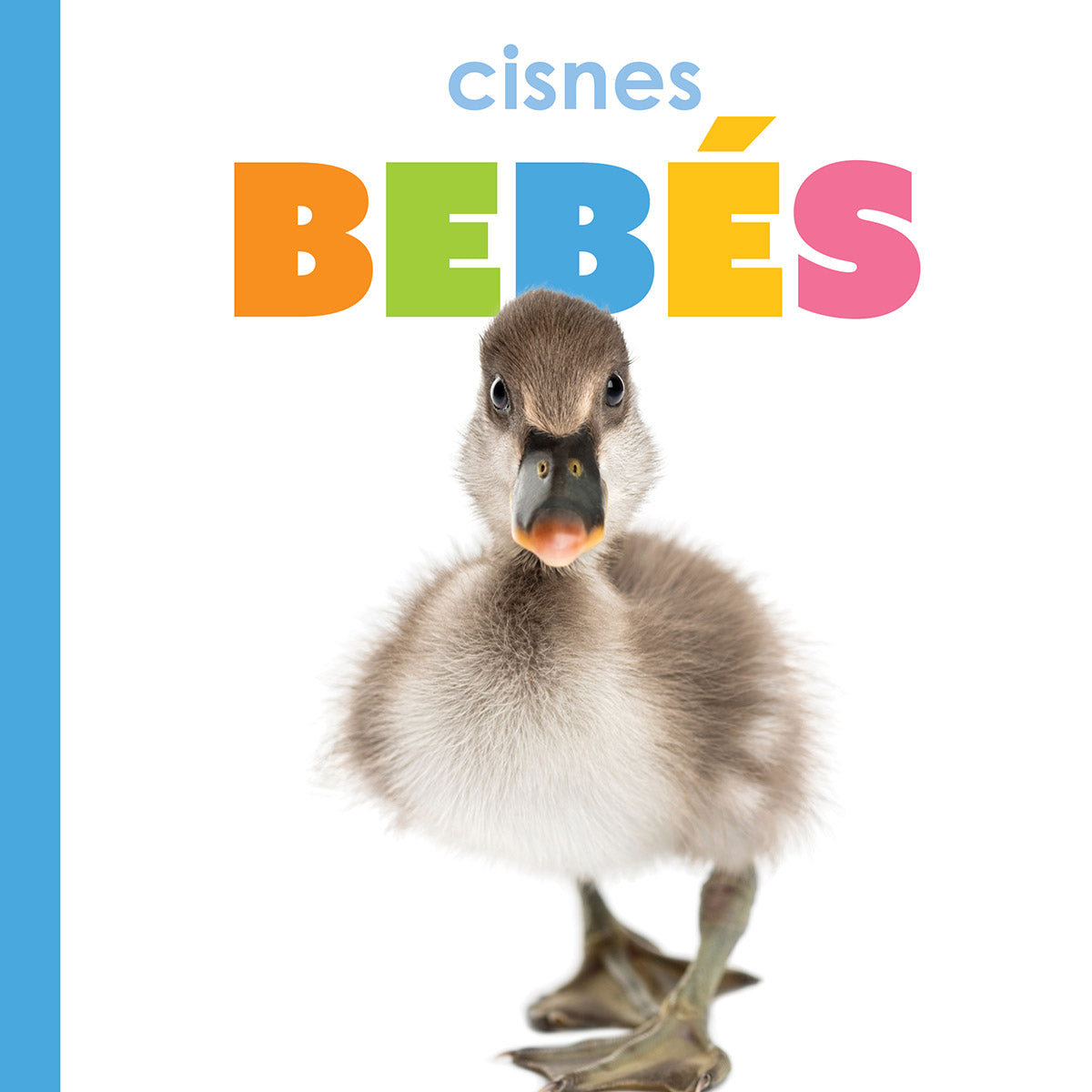Baby Swans The Beginning - Adorable Baby Swan Plush Toy for Kids & Nursery Decor | Perfect for Gifts, Baby Showers & Nursery Themes