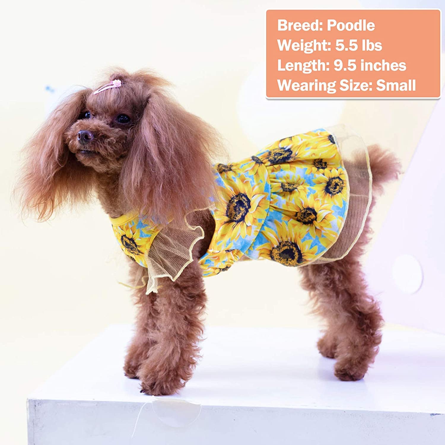 KYEESE Sunflower Dog Dress for Medium Dogs - Cute Tulle Sundress with Ruffle Sleeves, Pet Apparel for Small to Medium Breeds | Perfect for Summer Outings, Photo Shoots & Special Occasions