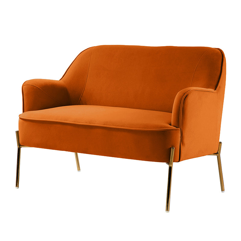 Stylish Africa Contemporary Velvet Loveseat Sofa - Modern Velvet Upholstered 2-Seater Couch for Living Room, Lounge & Home Decor
