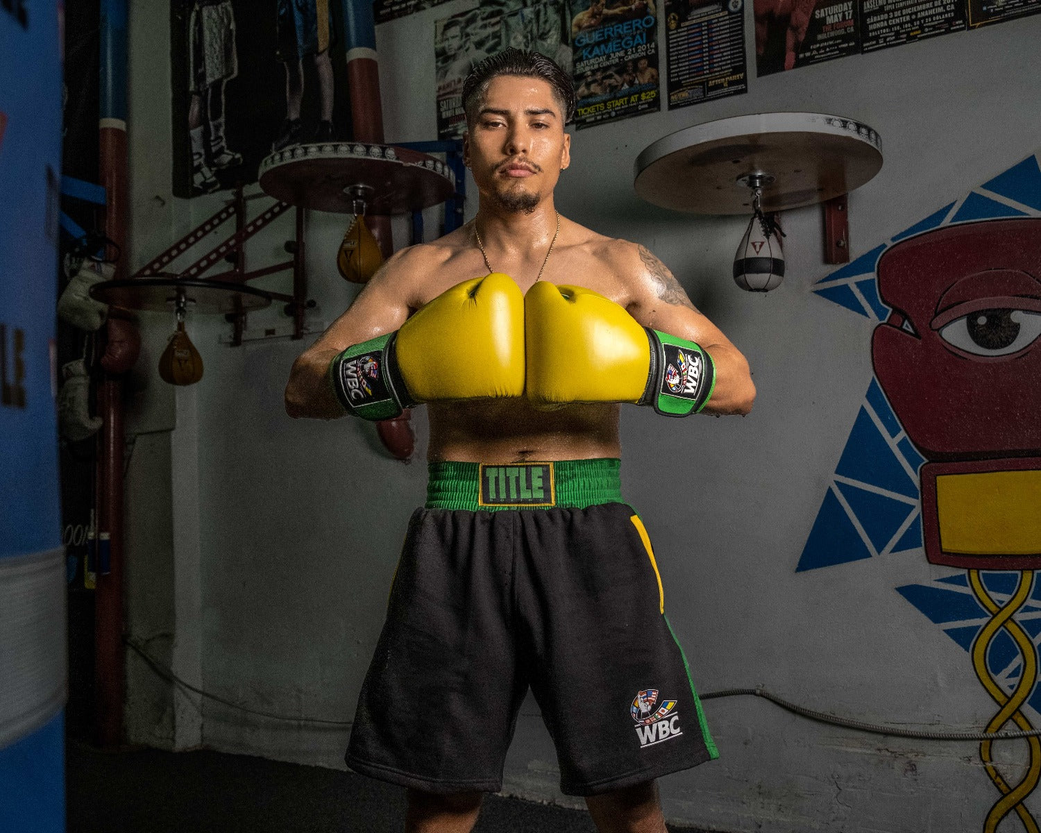 WBC by TITLE Boxing Jose Sulaiman Training Boxing Gloves - Premium Leather Boxing Gloves for Men & Women - Perfect for Training, Sparring & Fitness Workouts