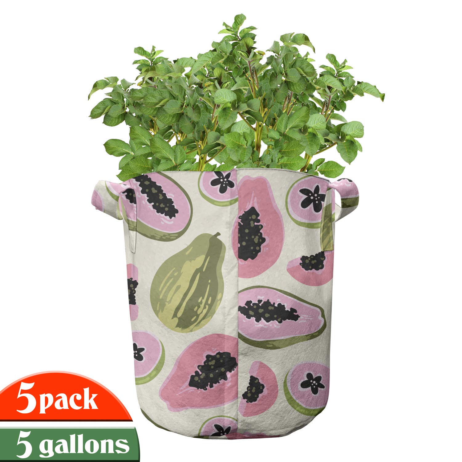 Ambesonne 5-Pack Heavy Duty Fabric Grow Bags with Handles - Tropical Papaya Fruit Design Plant Pots for Indoor/Outdoor Gardening, Vegetables, Herbs & Flowers