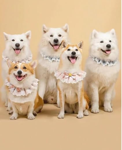 PSK PET MART Birthday Party Costume for Cats & Dogs - Cute Lace Bow Tie Collar for Holidays & Special Occasions | Perfect for Pet Birthday Parties, Christmas & Halloween Celebrations
