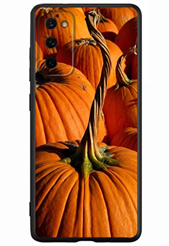 For Galaxy S20 FE