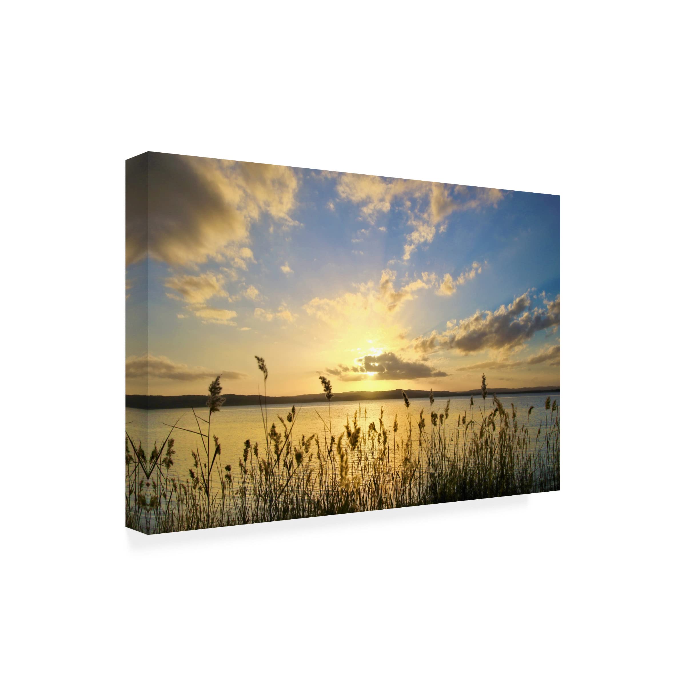 Summer Skies Canvas Wall Art by Beata Czyzowska - Handmade Landscape Painting for Living Room, Bedroom & Office Decor - Trademark Fine Art Collection