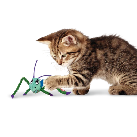 Kong Crackles Grasshopper Interactive Cat Toy - Fun & Engaging Pet Play for Indoor Cats - Perfect for Exercise & Mental Stimulation