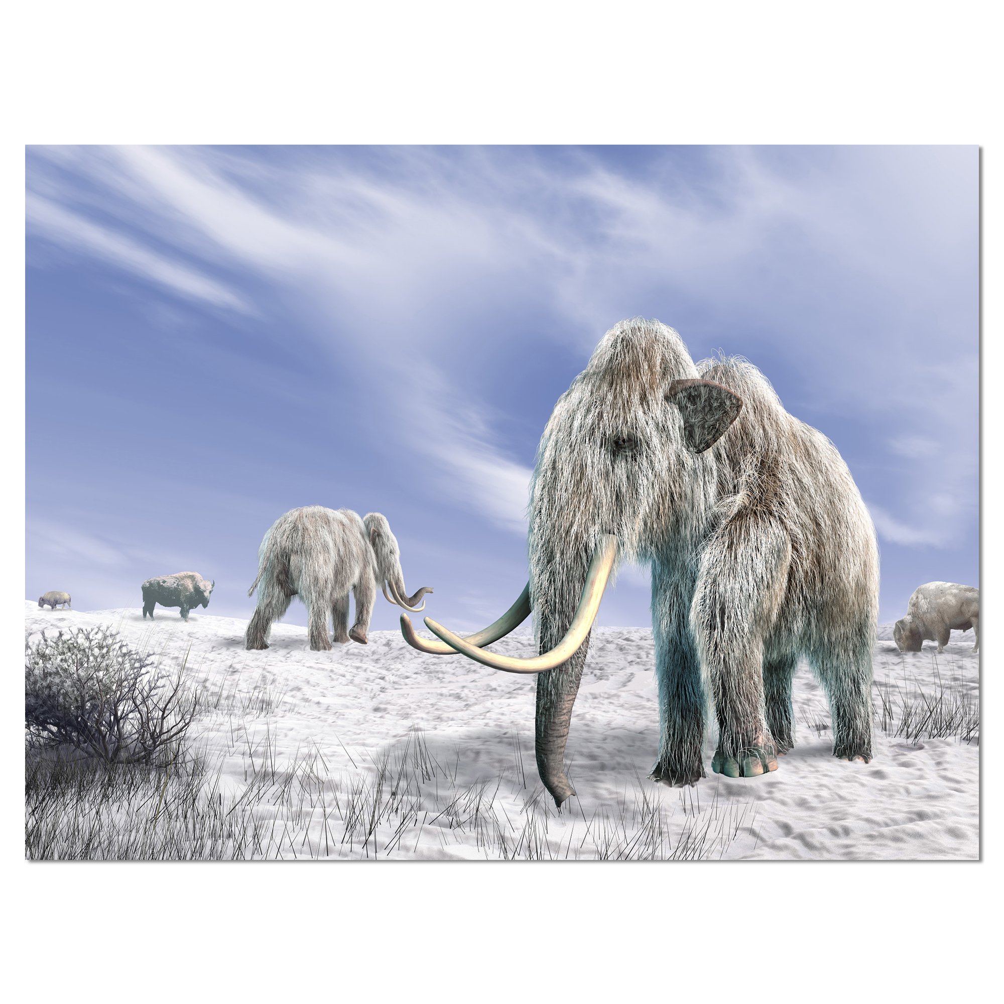 Stunning Mammoth Elephants in Field Landscape Photography Canvas Print - Perfect for Living Room, Office & Home Decor