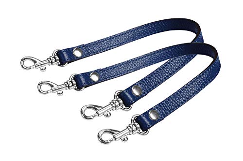 Blue-Silver Locks