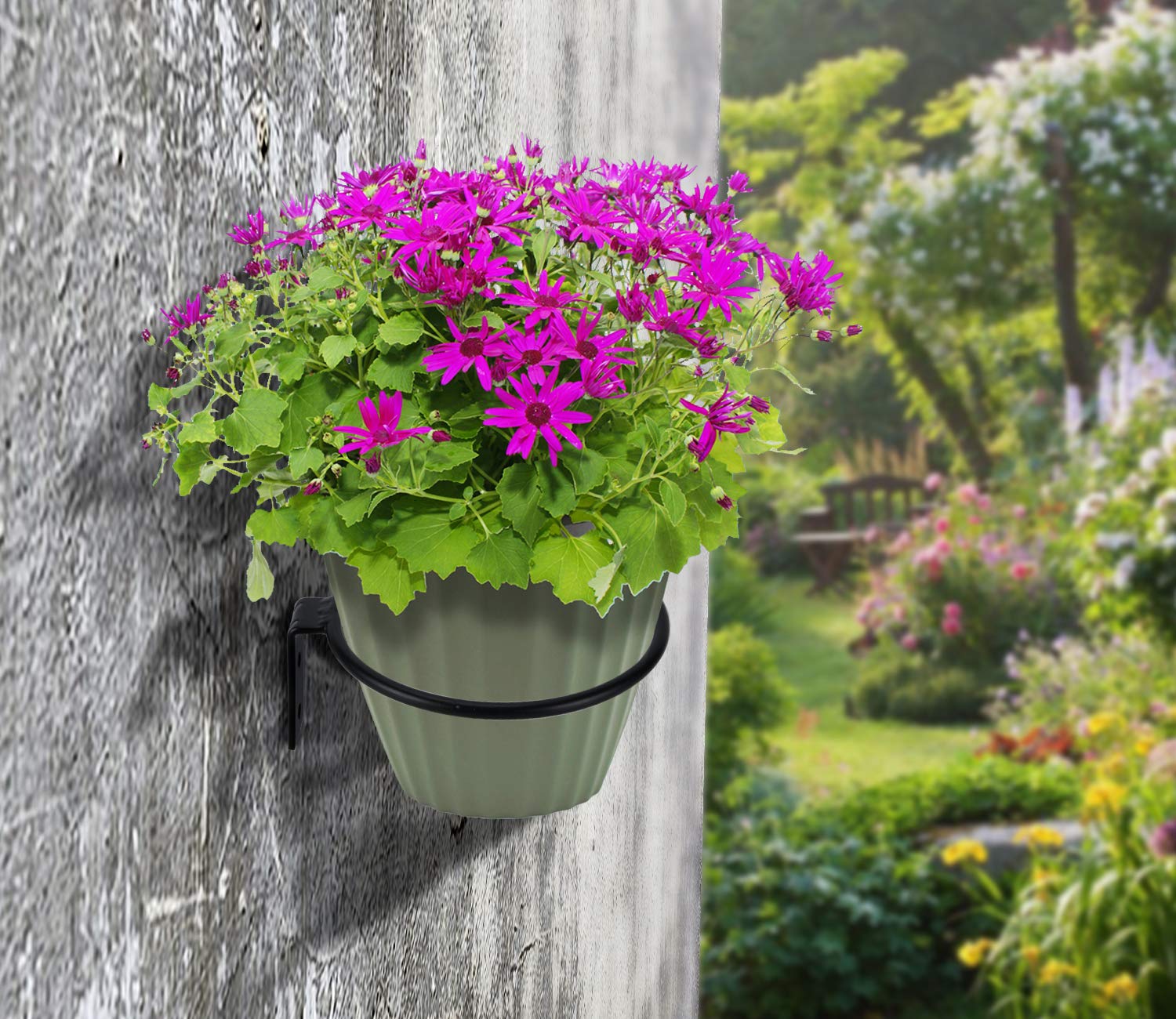 TQVAI 4 Inch Flower Pot Holder - 6 Pack Black Wall Planter Hooks for Indoor/Outdoor Plants - Decorative Wall Mounted Pot Bracket for Hanging Flower Pots in Gardens, Balconies & Home Decor