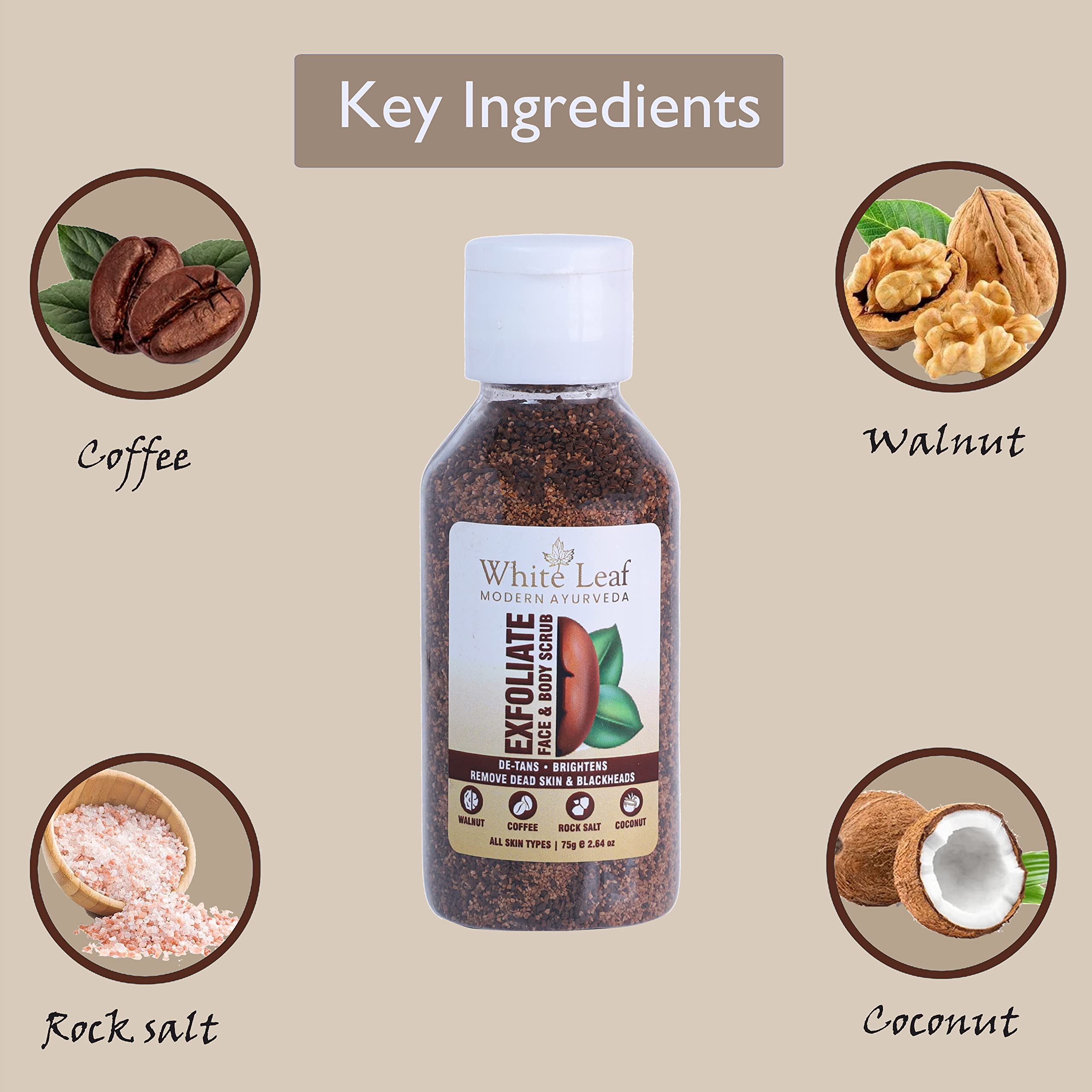 White Leaf Exfoliating Walnut Scrub 75g (Pack of 3) - Coffee & Coconut Face & Body Scrub for Dead Skin Removal, Tan Reduction, Blackhead Treatment - Deep Cleansing for Pollution-Free Skin - Perfect for Daily Skincare Routine & Spa Days
