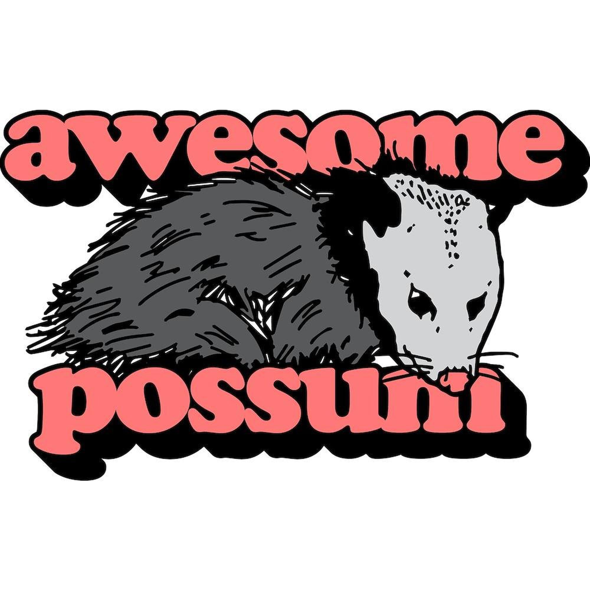 Awesome Possum 11 oz Ceramic Coffee Mug - Funny Novelty Gift for Office, Home & Camping - 325ml Insulated Tea Cup for Hot & Cold Drinks