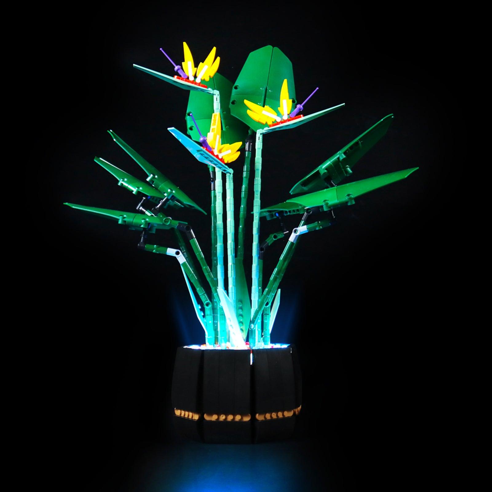 Lego Botanical Bird of Paradise 10289 Light Kit - DIY Lighting Set for Lego Flowers - Perfect for Home Decor, Gift Ideas & Display Enhancement