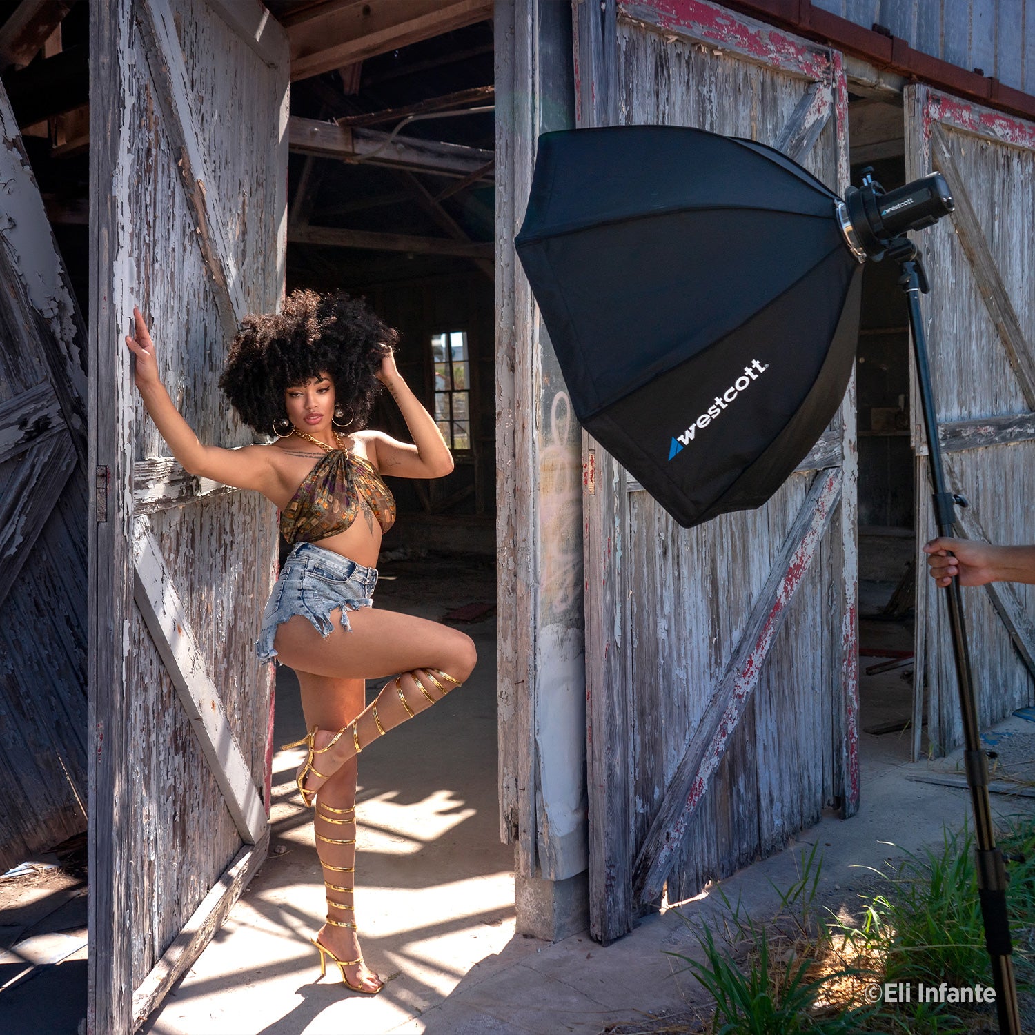 FJ200 Strobe 3 Light Backpack Kit - Professional Photography Lighting for Outdoor & Studio Shoots - Perfect for Portraits, Events, and Travel Photography
